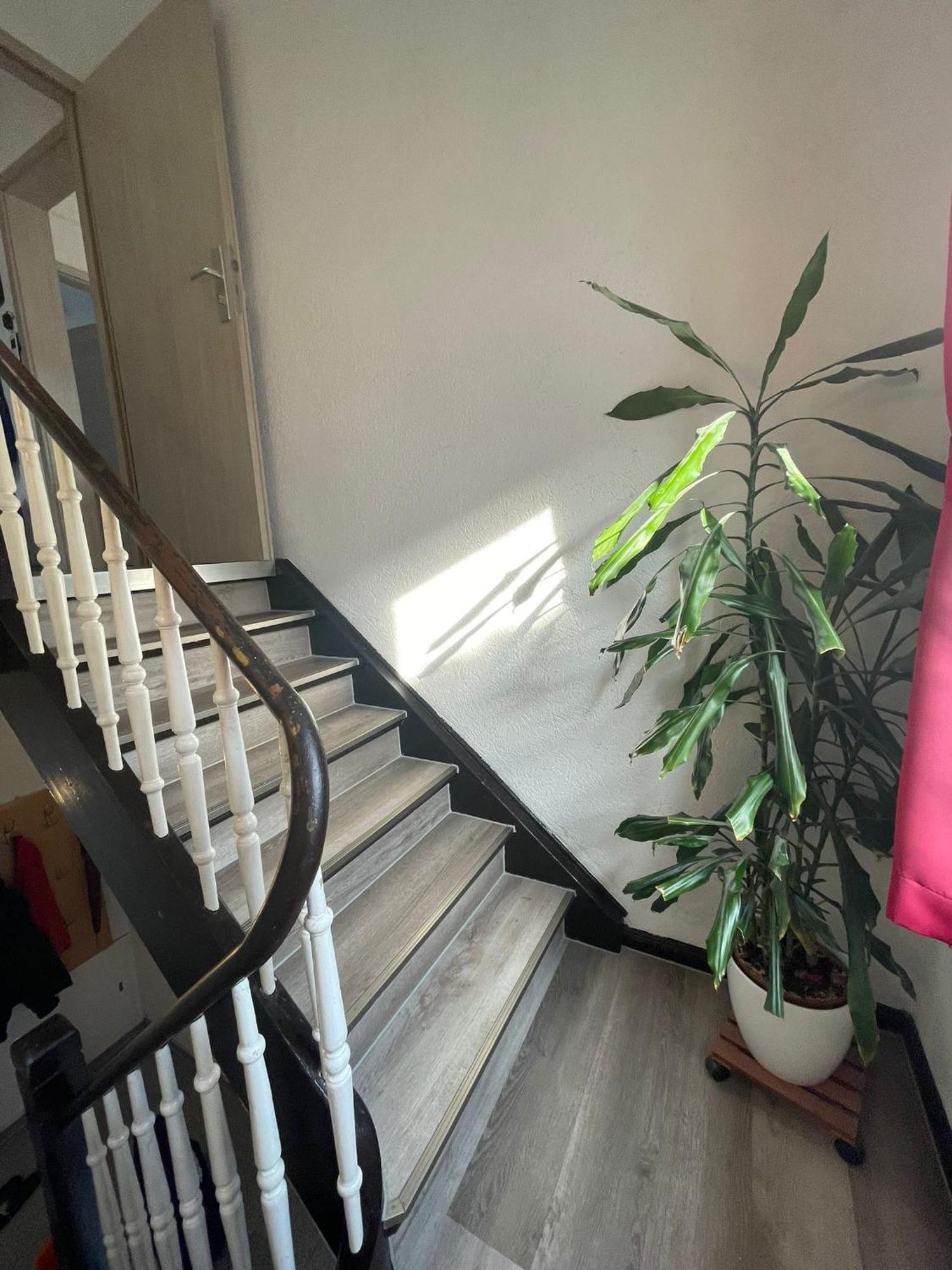Leo Apartment Zentrum רוסלסהיים מראה חיצוני תמונה